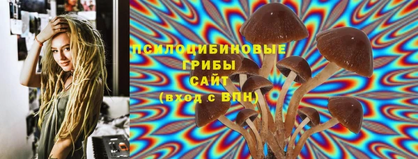 эйфоретик Липки