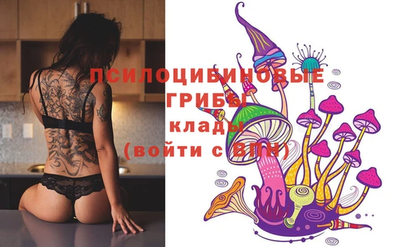 круглые Лагань