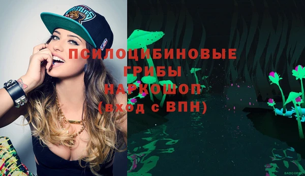 герыч Ладушкин