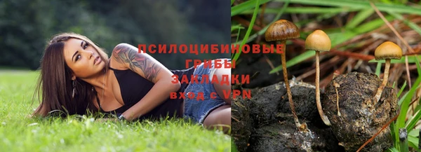 эйфоретик Липки