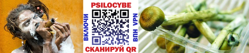 дарнет шоп Нефтекумск Псилоцибиновые грибы MAGIC MUSHROOMS