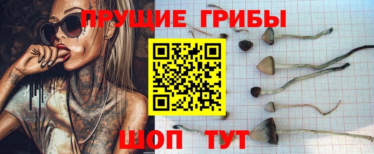 Галлюциногенные грибы мицелий  Нефтекумск 