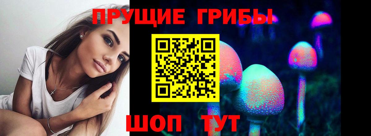 Псилоцибиновые грибы мицелий Нефтекумск