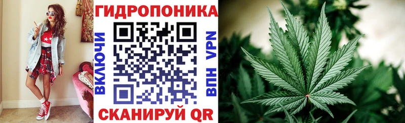 Шишки марихуана VHQ  магазин    Нефтекумск 